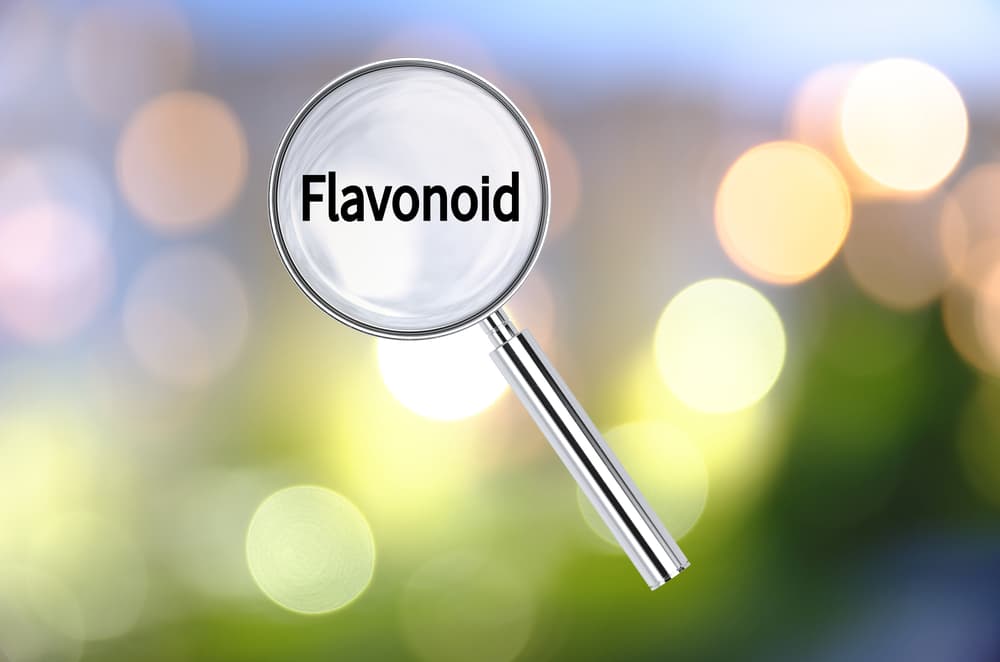 Flavonoids, what is their function in cannabis?