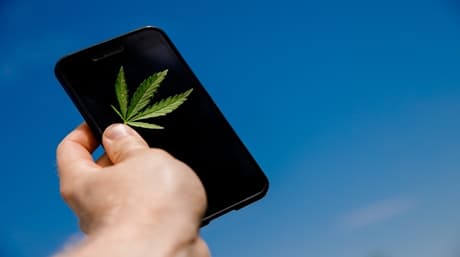 Why ordering cannabis seeds well in advance for the season