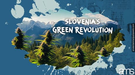 Slovenia’s Green Revolution: A Cannabis Odyssey