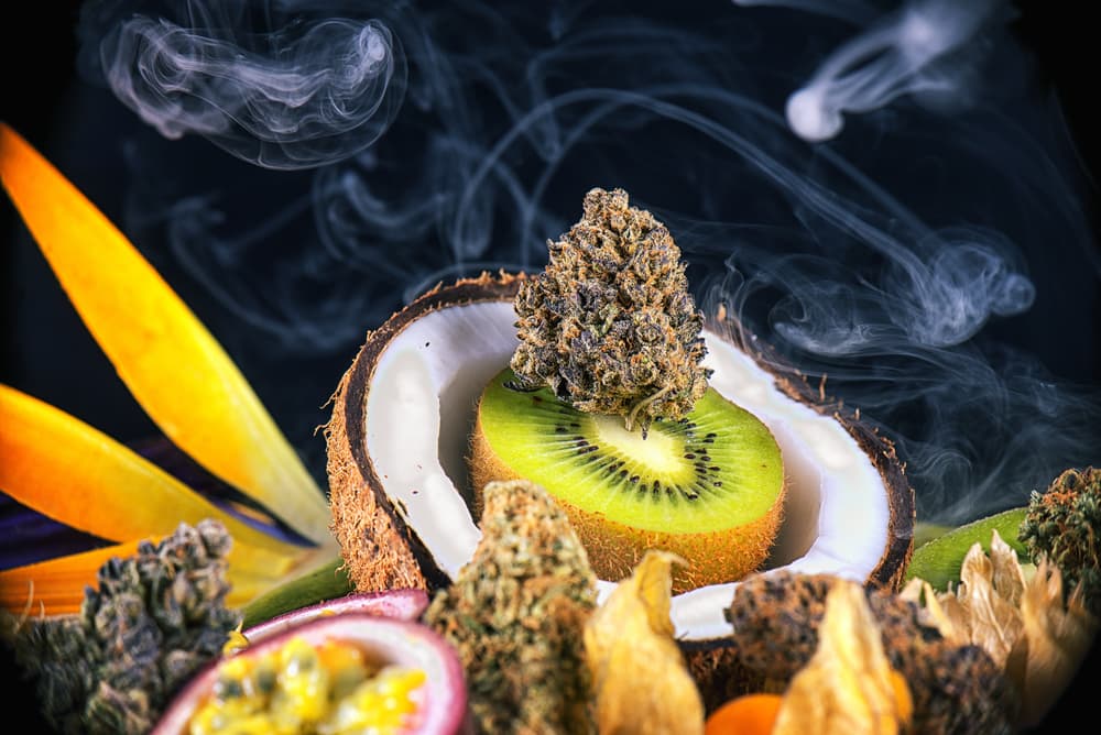 Esrar ve terpenler