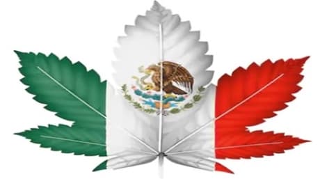 Medical Marijuana has been legalized in Mexico
