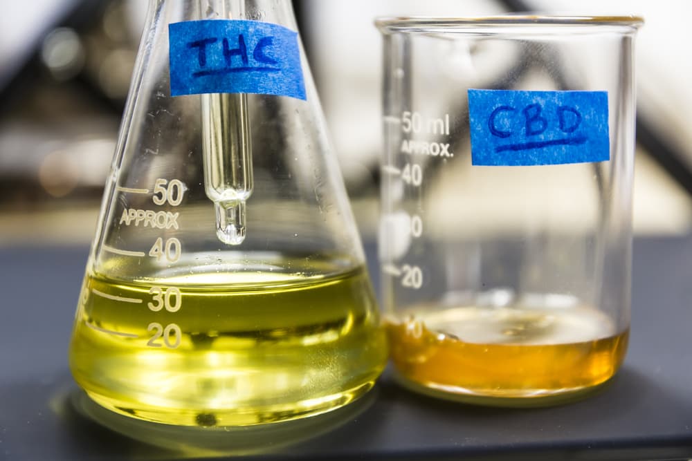 The Differences Between CBD and THC
