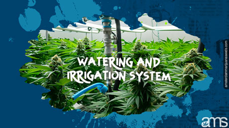 irrigation system