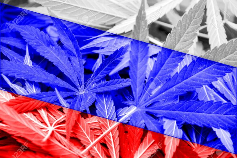 Cannabis in Russia