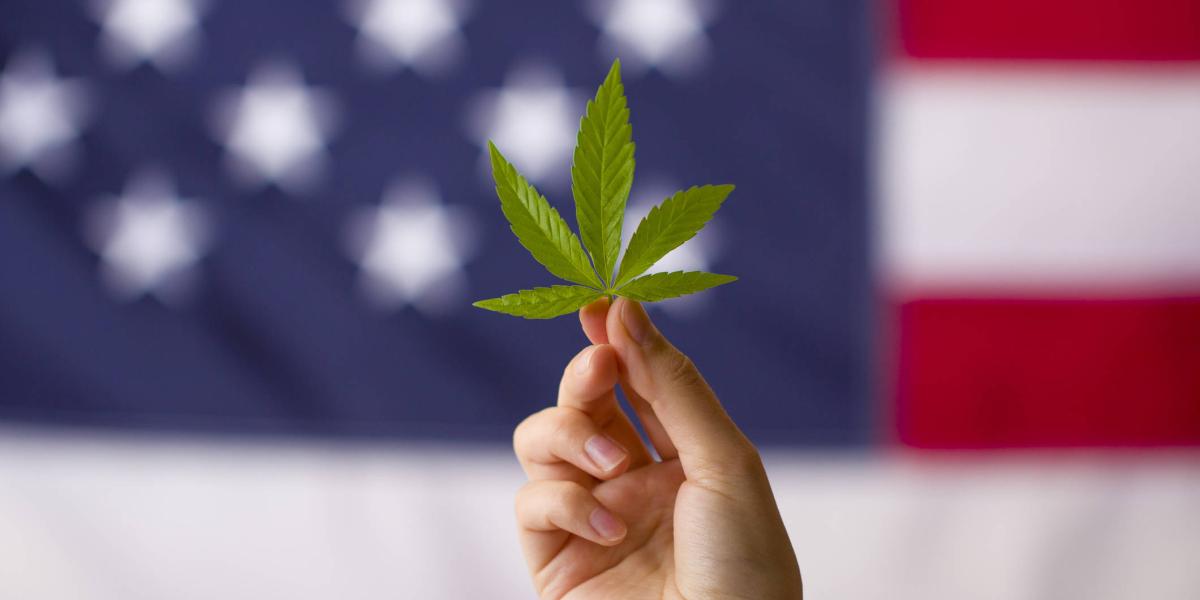 usa cannabis