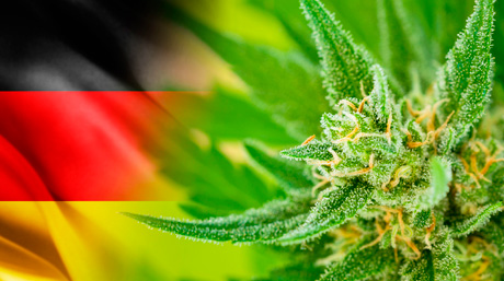 Germany Legal Cannabis