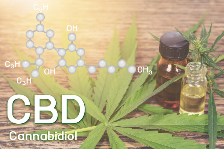 cbd terpenes