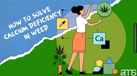 calcium deficiency weed