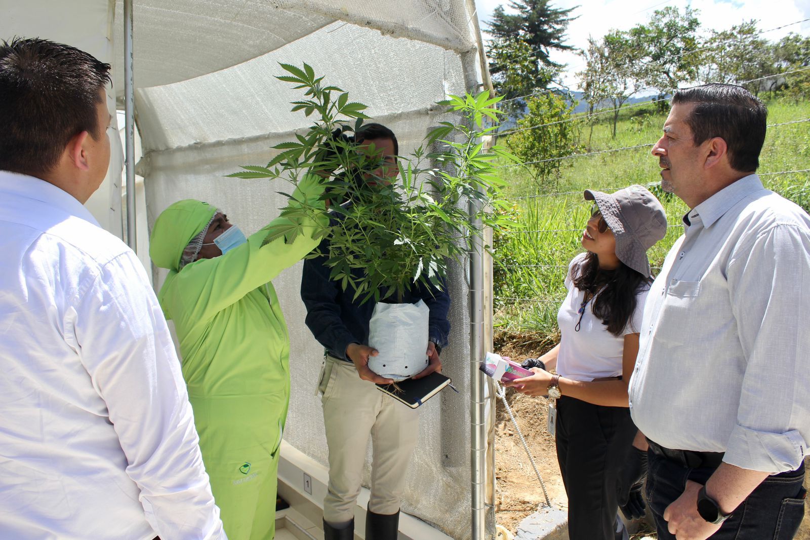 A Leading Medicinal Cannabis Company in Boyacá