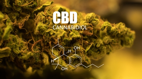 Cannabidiol and psychoactive effects