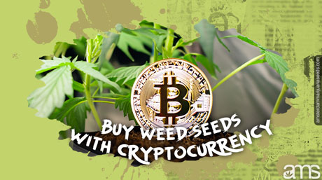 buy weed seeds with crypto