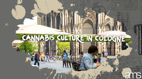 Cannabis Culture Cologne Germany