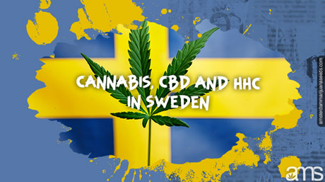 Cannabis CBD HHC Sweden