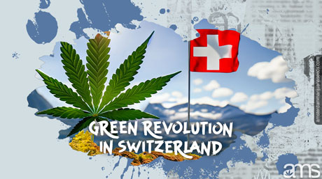 cannabis Swiss Alps