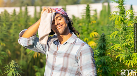 farmer with a shovel in his hand wiping his sweat with a cloth in a warm sunlight