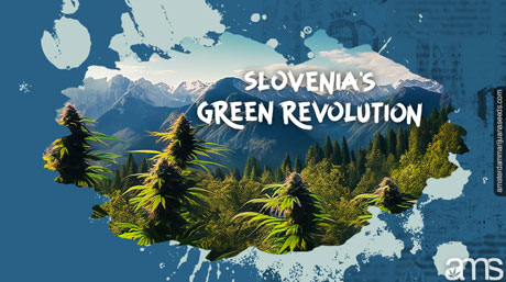 Slovenian mountains and cannabis plants