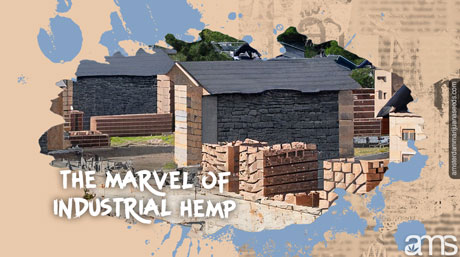 houses under construction with eco sustainable industrial hemp bricks