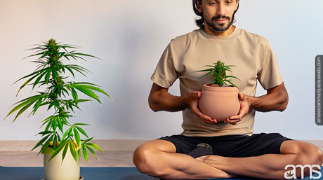 yoga and marijuana