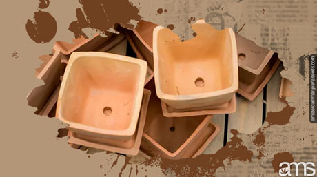 Fabric vs Plastic Pots for Autoflowers Choosing between fabric and plastic pots? Learn which type is better for autoflower pot size, drainage, and root development.