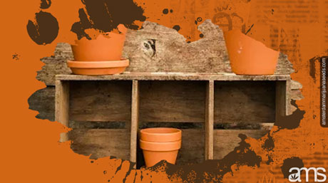 Compare autoflower pot sizes to choose the best one for your setup Comparison of pot sizes for autoflower cannabis plants