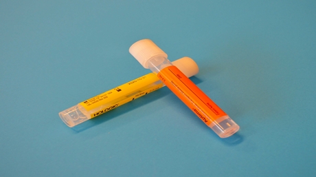 Urine Test Tube