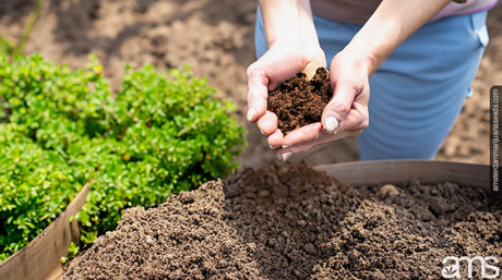 essential steps preparing soil outdoor cultivation fertilized soil