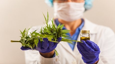 Cannabinoids as medicine