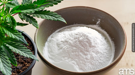 Baking Soda cannabis