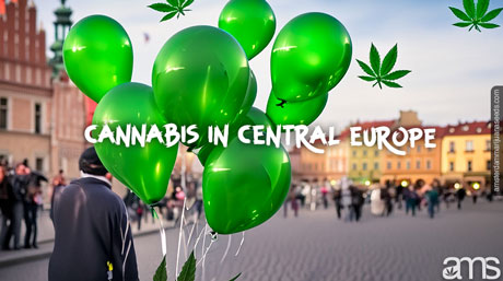 Cannabis in Central Europe