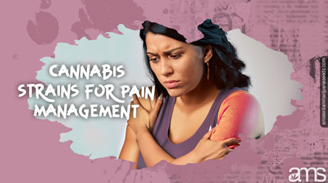 cannabis pain management