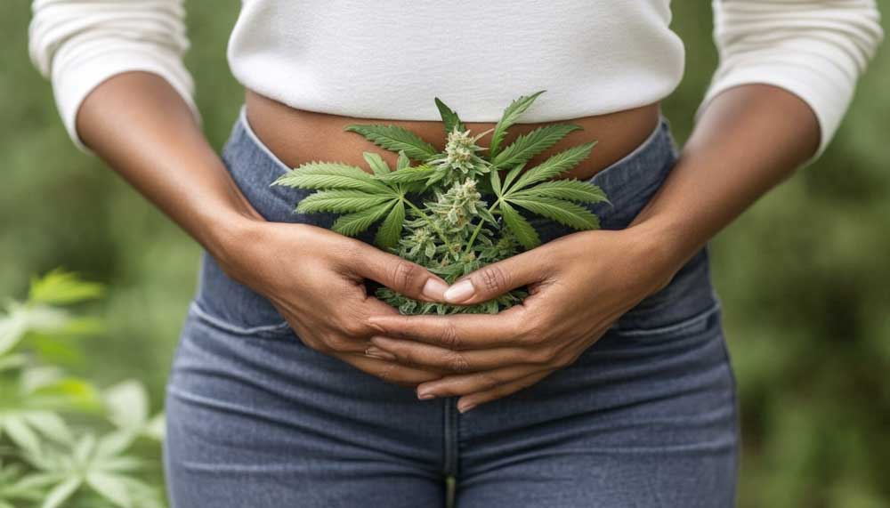 Can Weed Cause Diarrhea? The Link Between Cannabis and Digestion Visual guide showing how weed cause diarrhea.