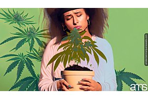 worried girl sadly looks at her autoflower plant