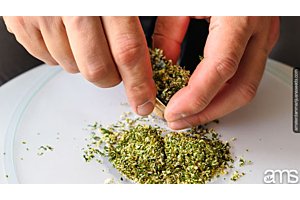 hands grinding marijuana by hand
