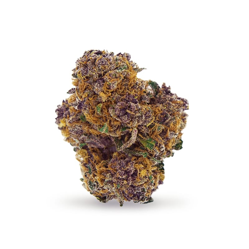 Purple Power XTRM Autoflower Seeds