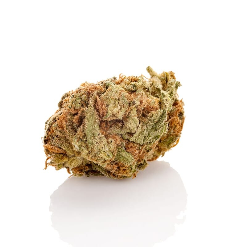 Kali Jack Feminized Marijuana Strain