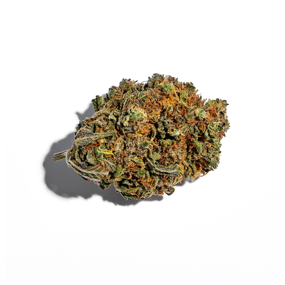 Purple Punch Feminized Seeds