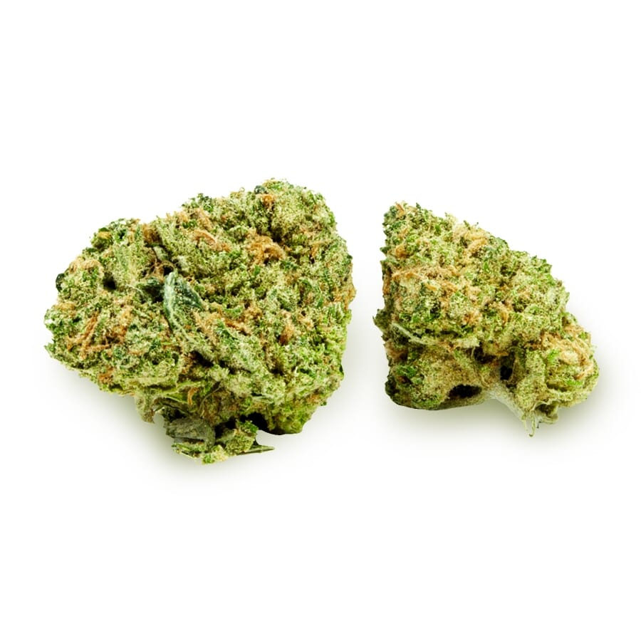 Boogie Nights Weed Buds