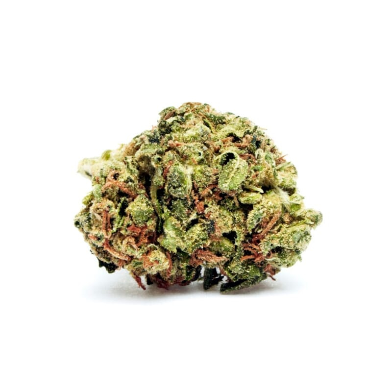 MOAB - Mother of All Buds ® Feminized Seeds