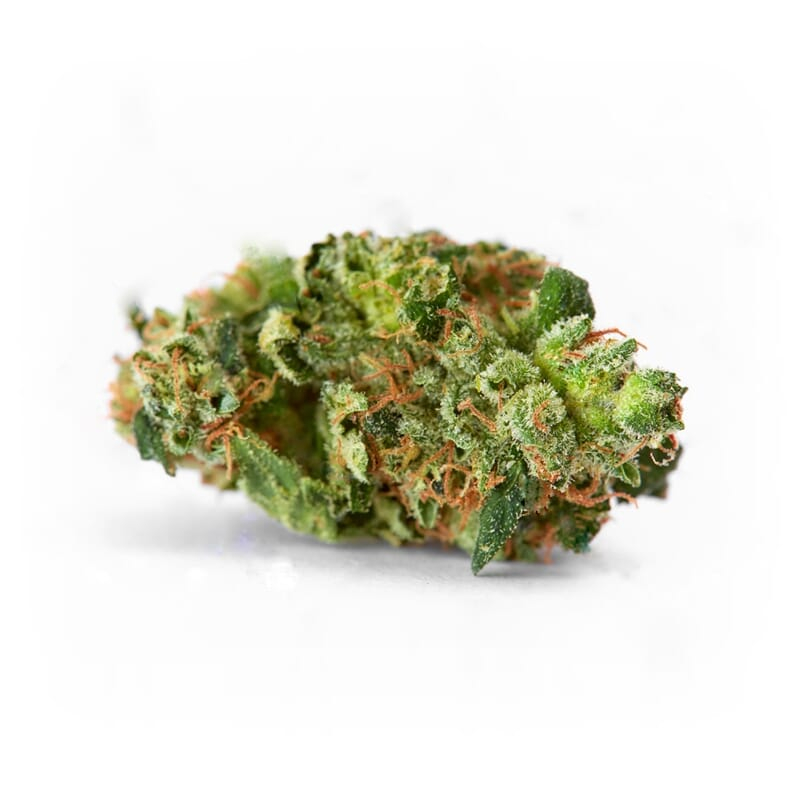 AK 47 Extreme Marijuana Strain