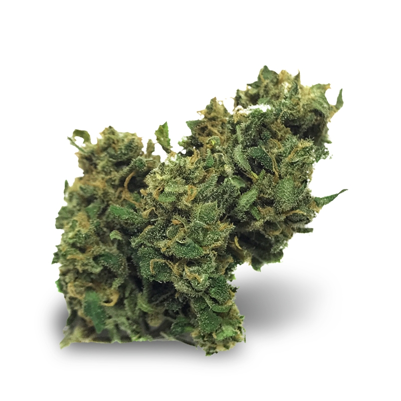 Big Bud Autoflower Seeds