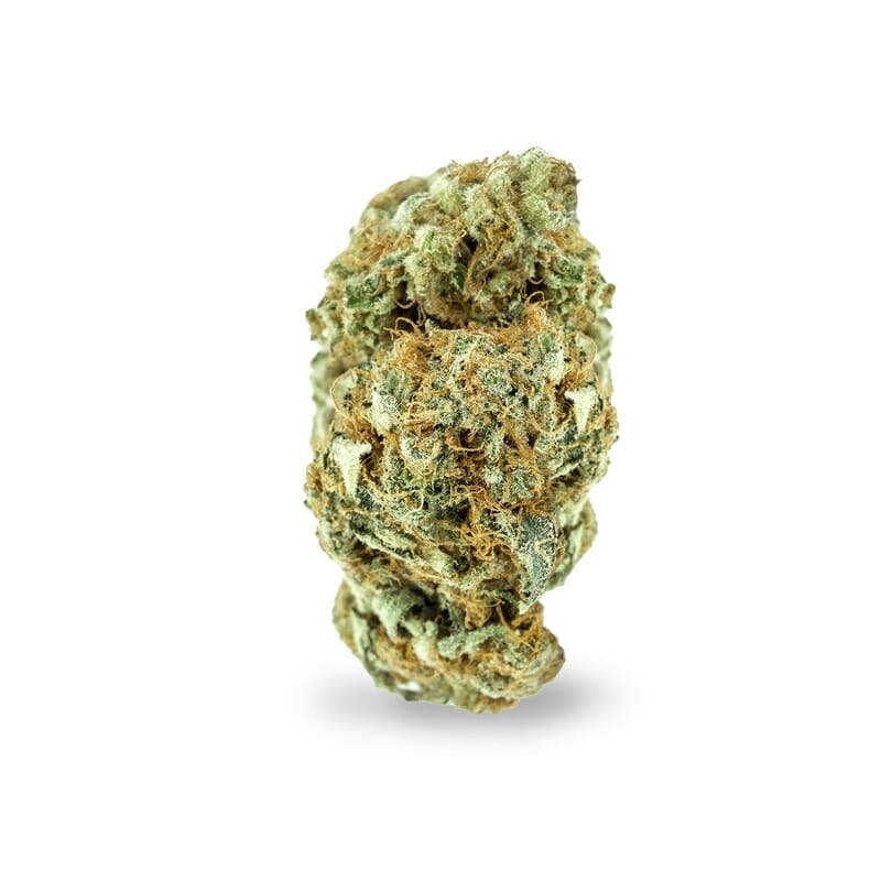 Supernova Weed Bud