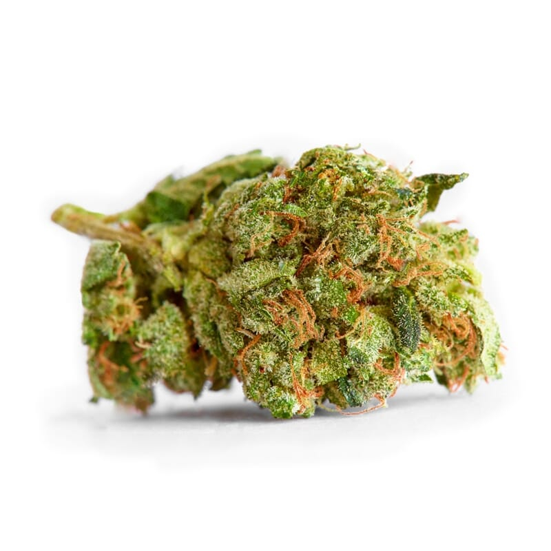 Medijuana Weed bud