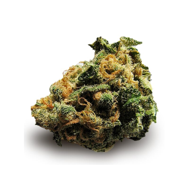 Super Skunk Feminized Seeds