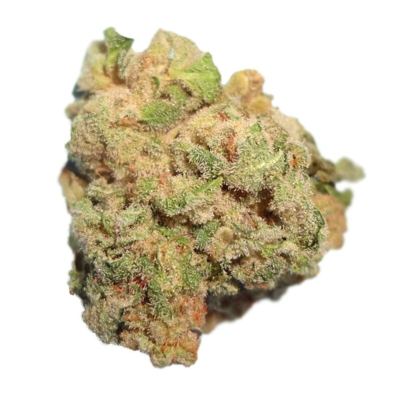 White Queen Weed