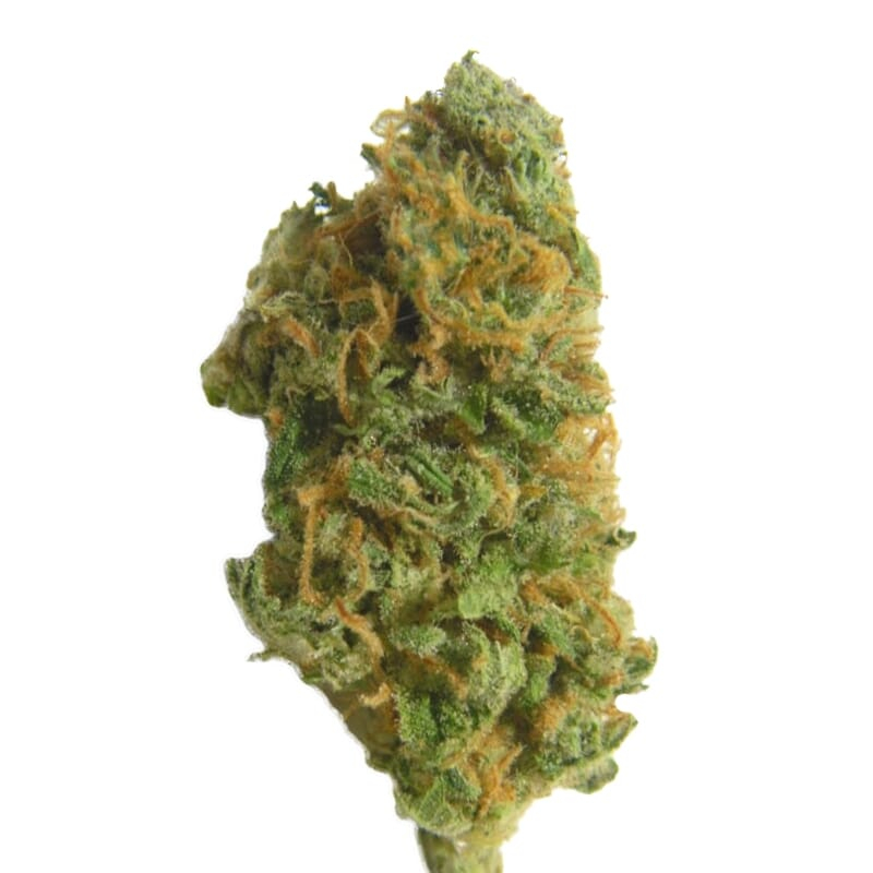 Skunk Special Weed Bud