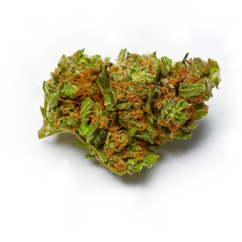 Big Black Indica Feminized Seeds