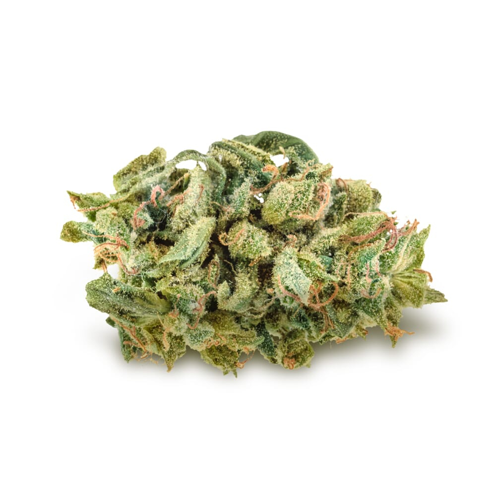 Blue Cheese Feminized Seeds