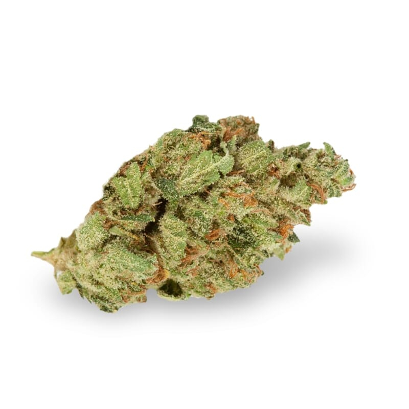 Hawaii Skunk Weed Bud