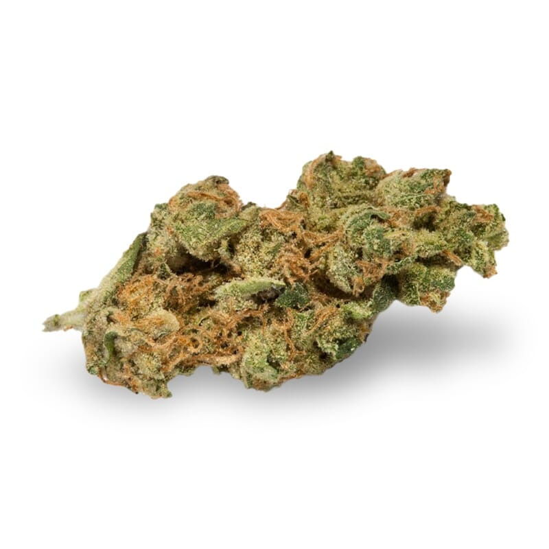 New York Turbo Diesel Feminized Seeds