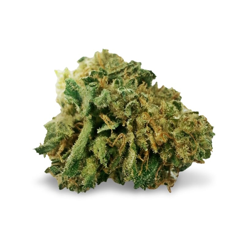 Mangolicious Weed Strain Bud